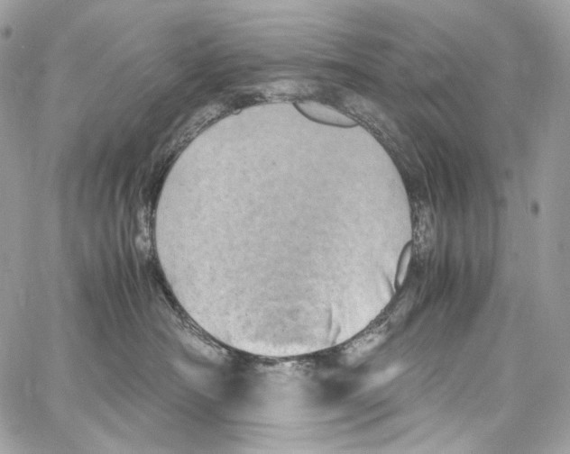 X0000067000430200604241409