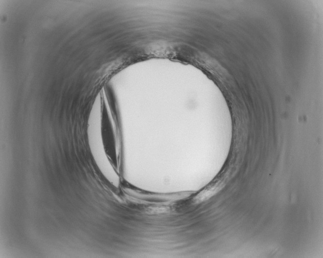 X0000067000432200604241409