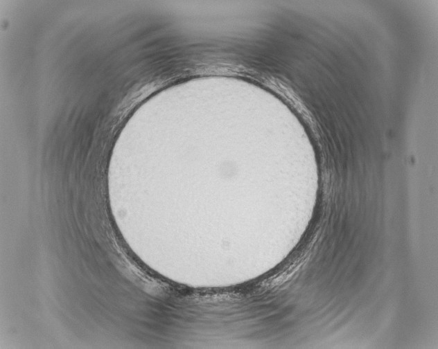 X0000067000433200604241408