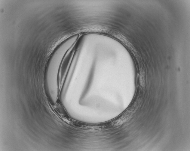 X0000067000434200604241408