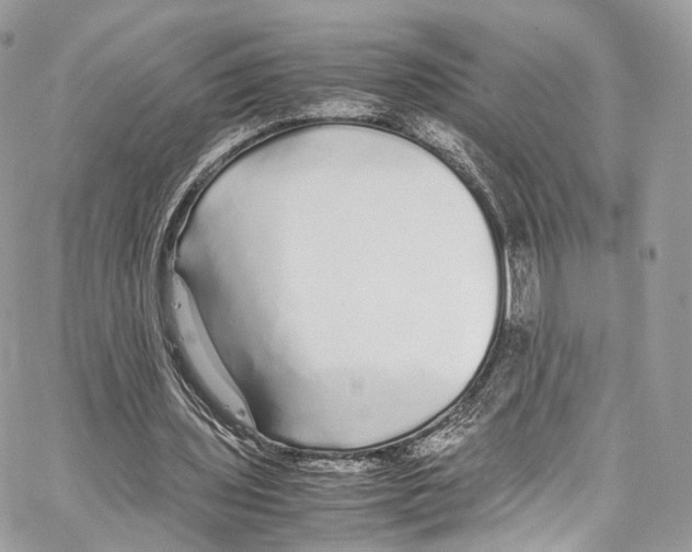 X0000067000435200604241408