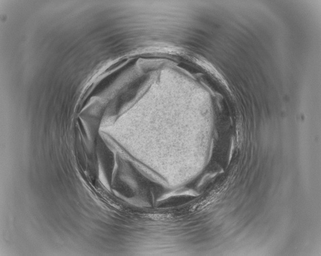 X0000067000436200604241408