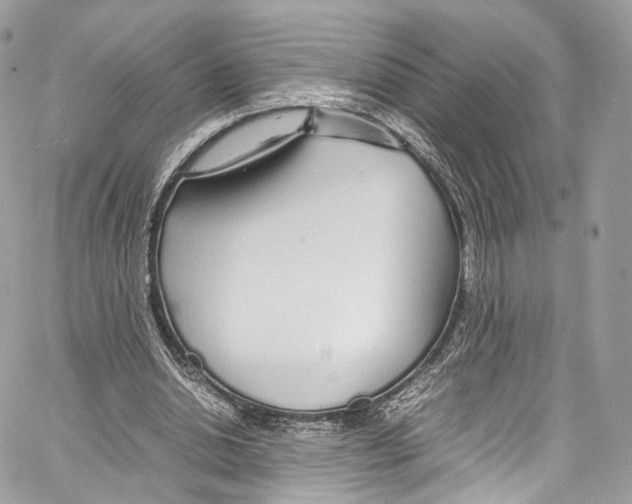 X0000067000438200604241408