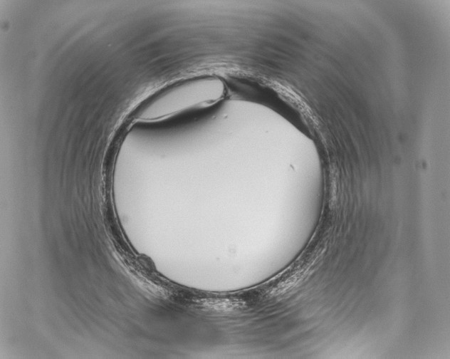 X0000067000439200604241408