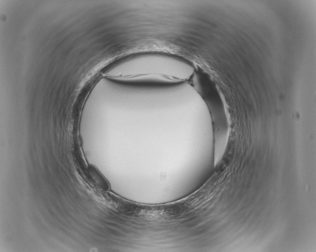 X0000067000440200604241408