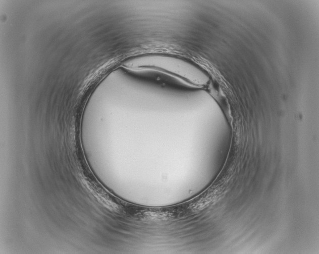 X0000067000442200604241408