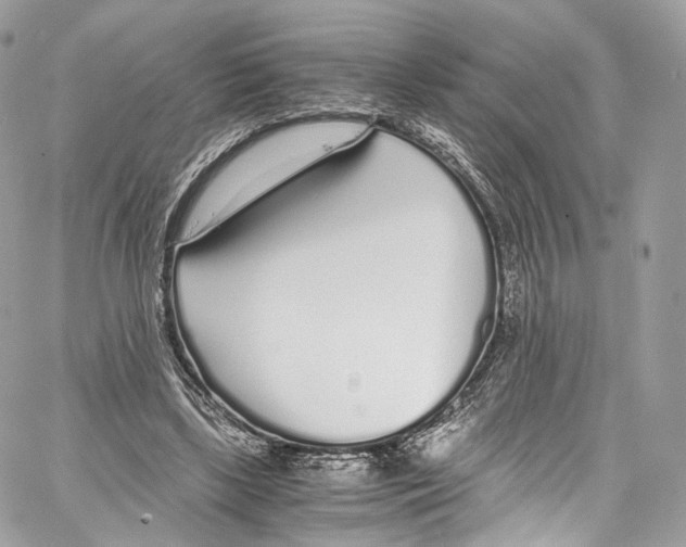 X0000067000443200604241408