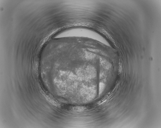 X0000067000444200604241408