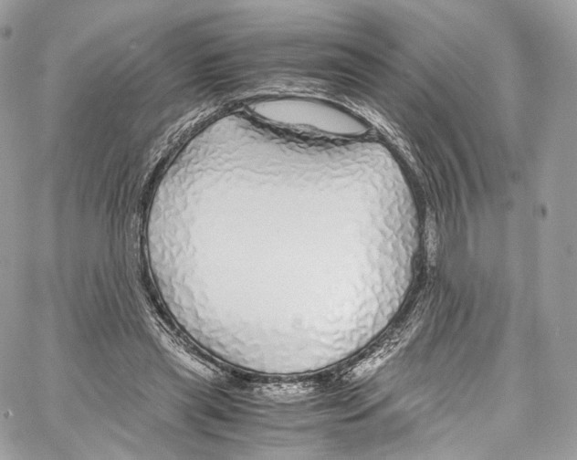 X0000067000445200604241408