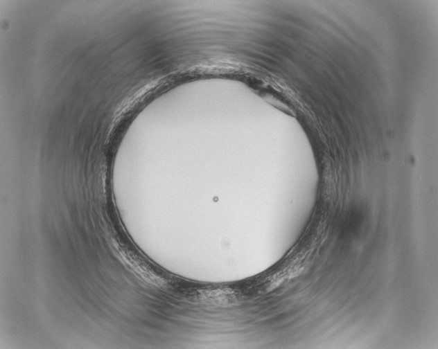 X0000067000446200604241408