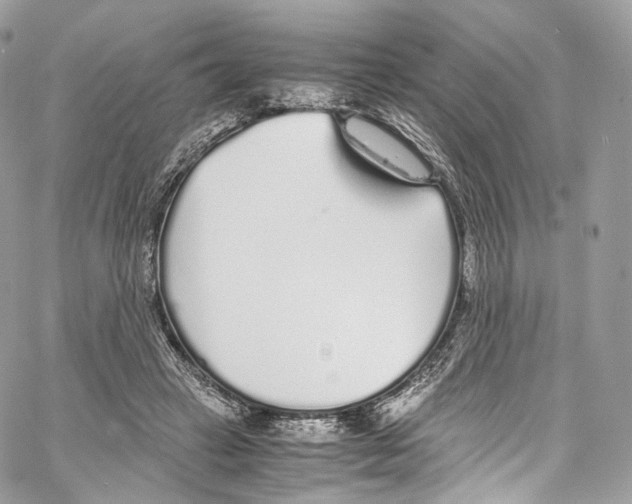 X0000067000449200604241408