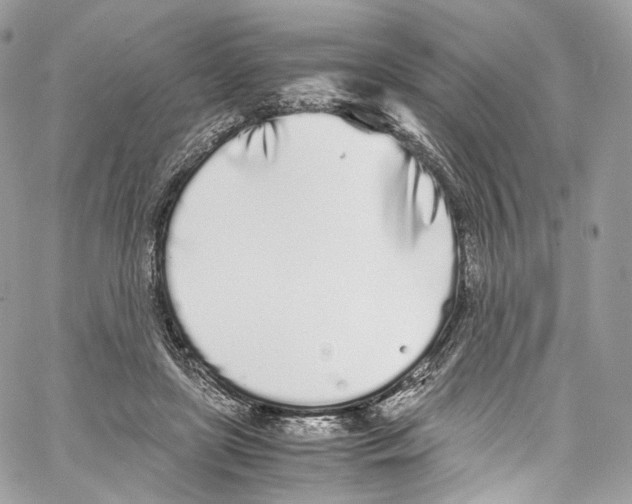 X0000067000451200604241408