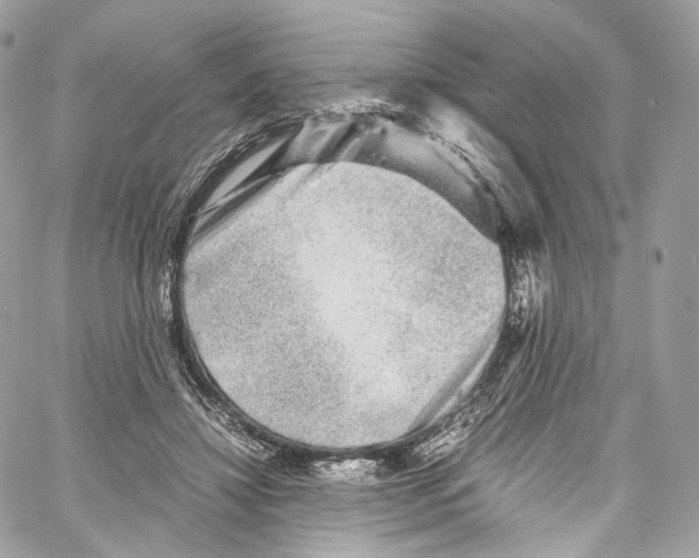 X0000067000452200604241408