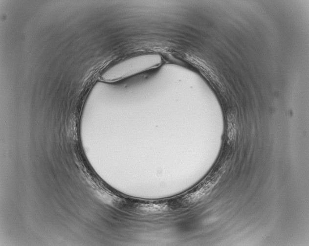 X0000067000453200604241408