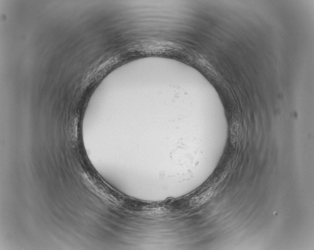 X0000067000454200604241408