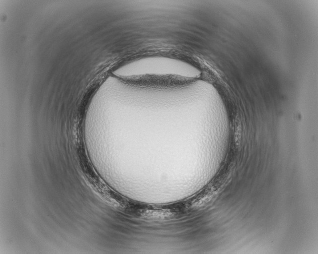 X0000067000455200604241408