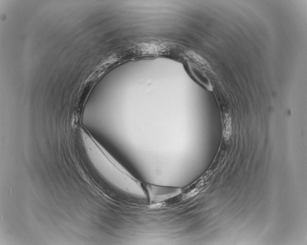 X0000067000456200604241408