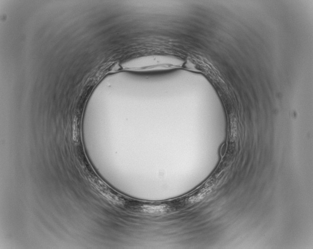 X0000067000457200604241408