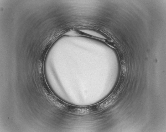 X0000067000458200604241408