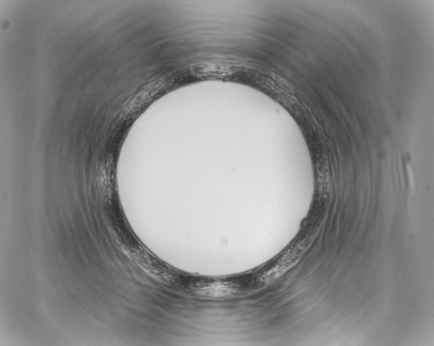 X0000067000460200604241409