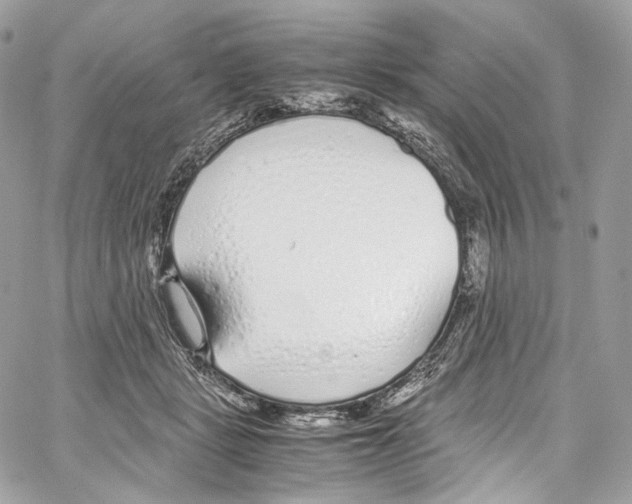 X0000067000461200604241409