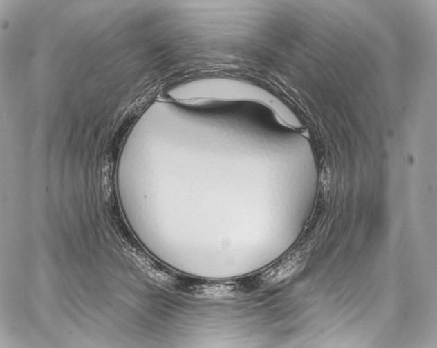 X0000067000462200604241409