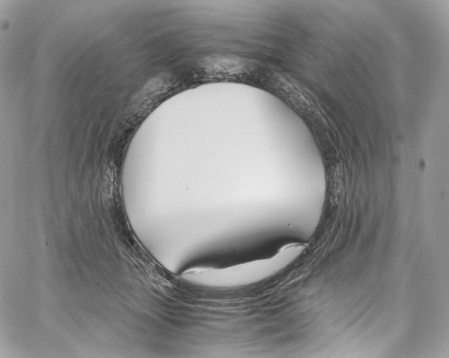 X0000067000463200604241409