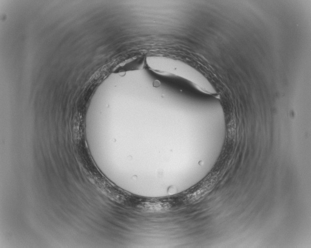 X0000067000464200604241409