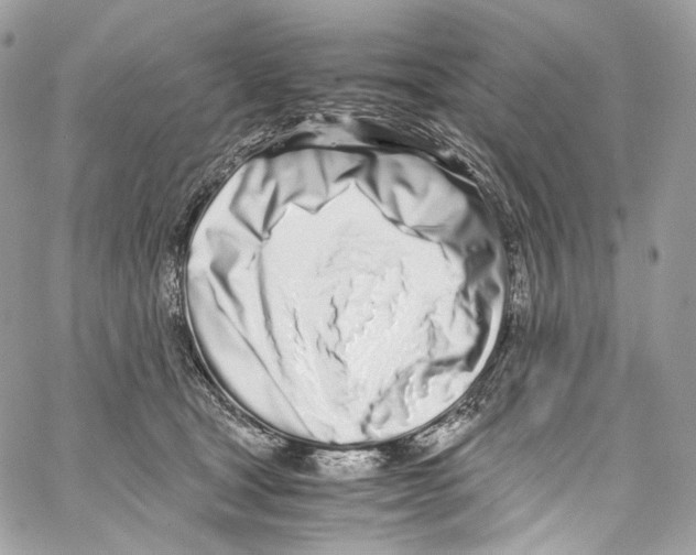 X0000067000465200604241409