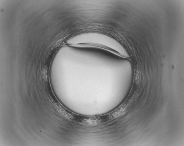 X0000067000466200604241409