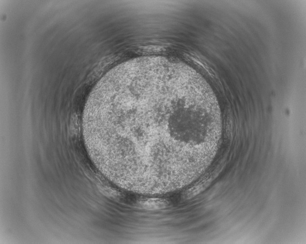 X0000067000467200604241409