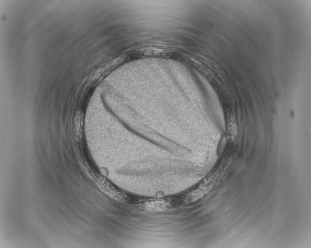 X0000067000468200604241409