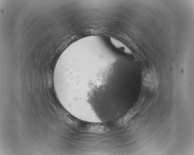 X0000067000471200604241409