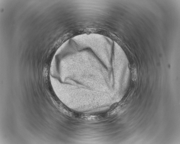 X0000067000472200604241409