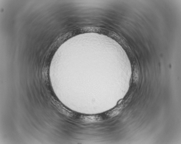 X0000067000473200604241409