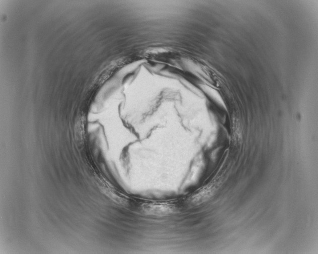 X0000067000475200604241409