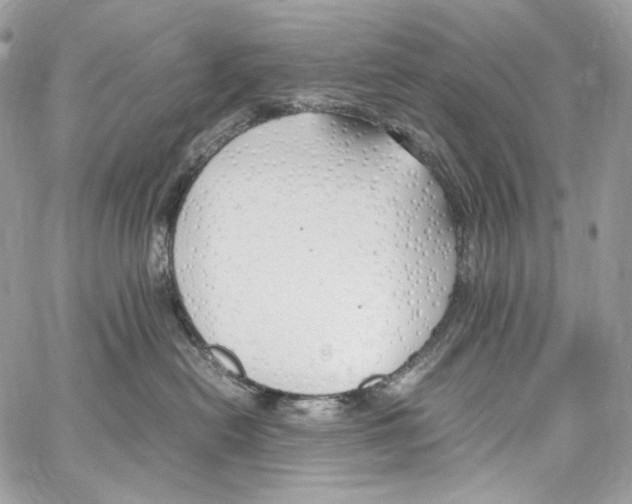 X0000067000478200604241409