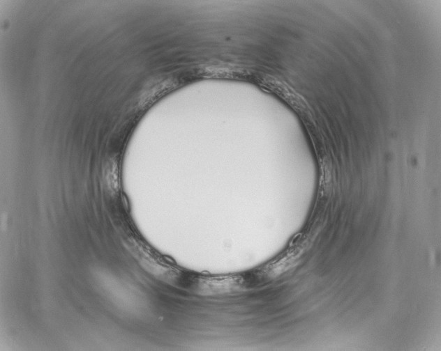 X0000067000479200604241409