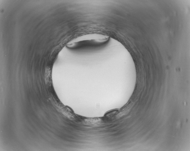 X0000067000480200604241409