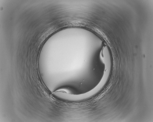 X0000067000481200604241408