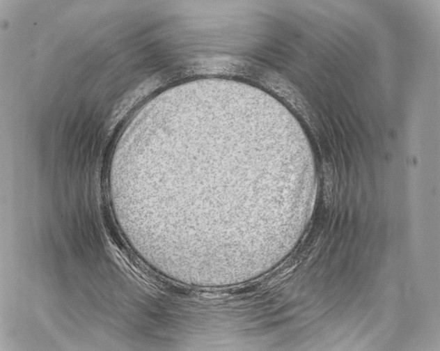 X0000067000482200604241408