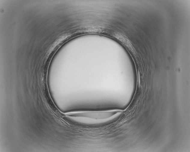 X0000067000483200604241408