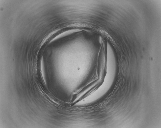 X0000067000484200604241408