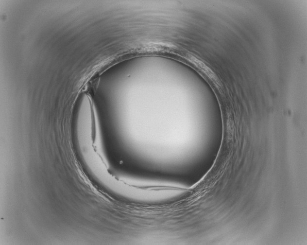 X0000067000485200604241408