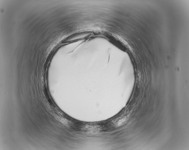 X0000067000487200604241408