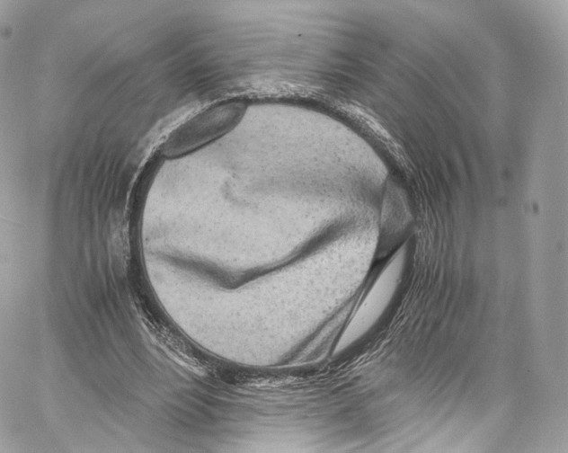 X0000067000488200604241408