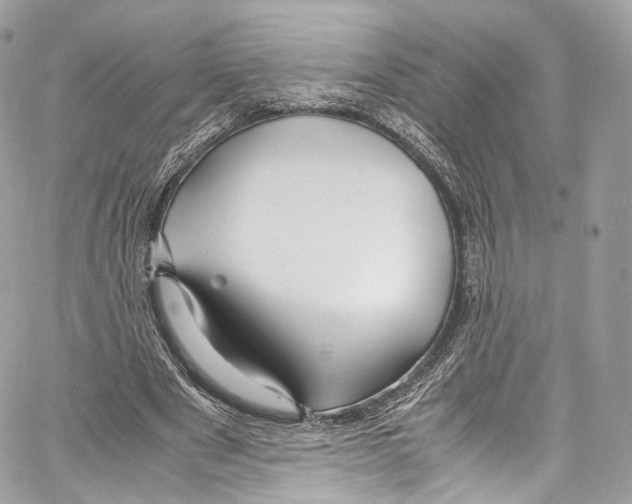 X0000067000489200604241408