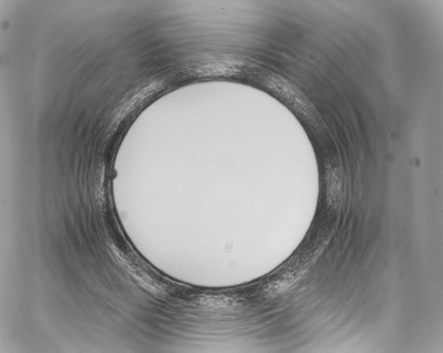 X0000067000490200604241408