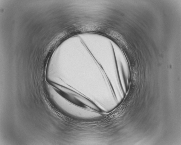 X0000067000491200604241408