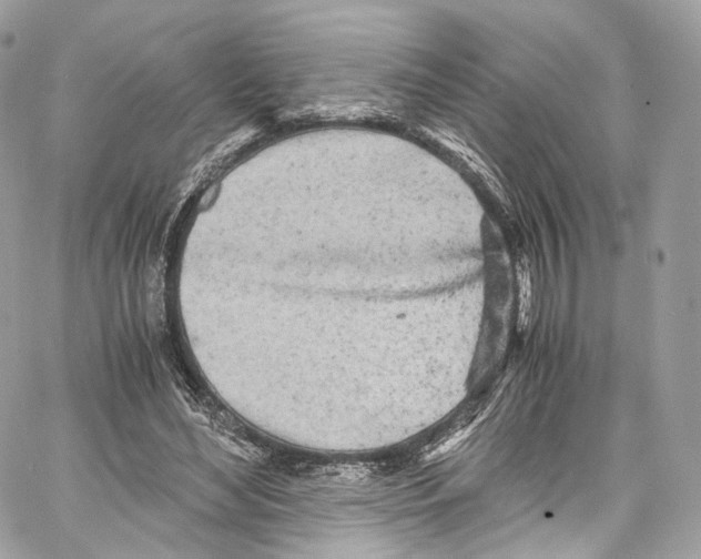 X0000067000492200604241408